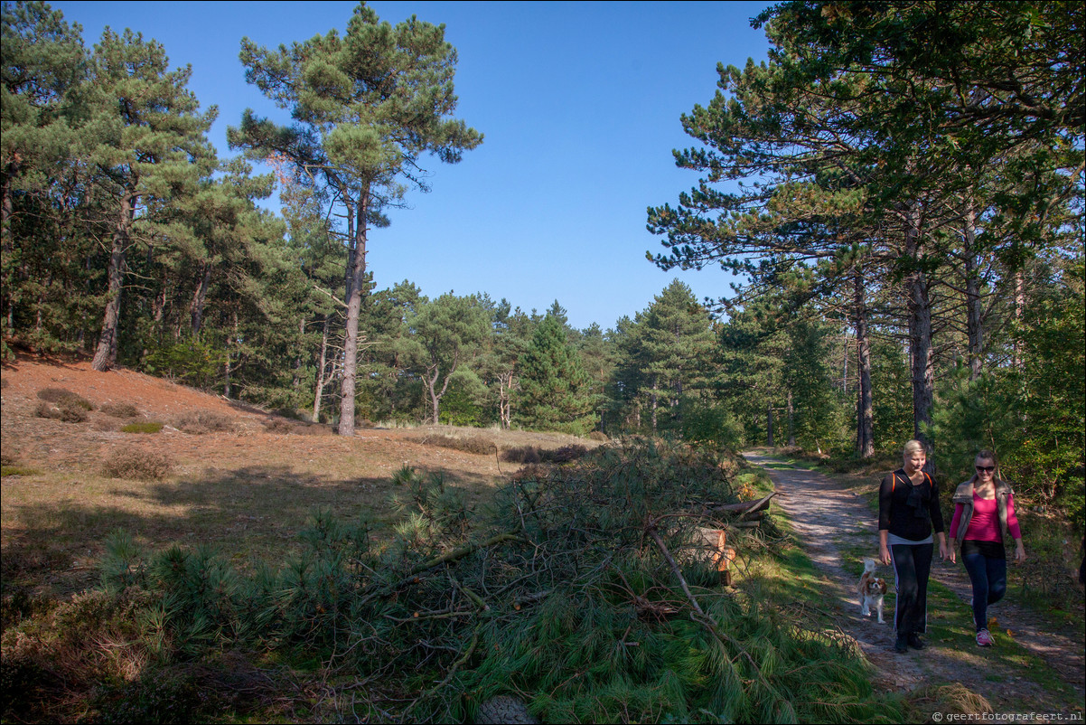 Wandeling Bergen aan Zee - Bergen