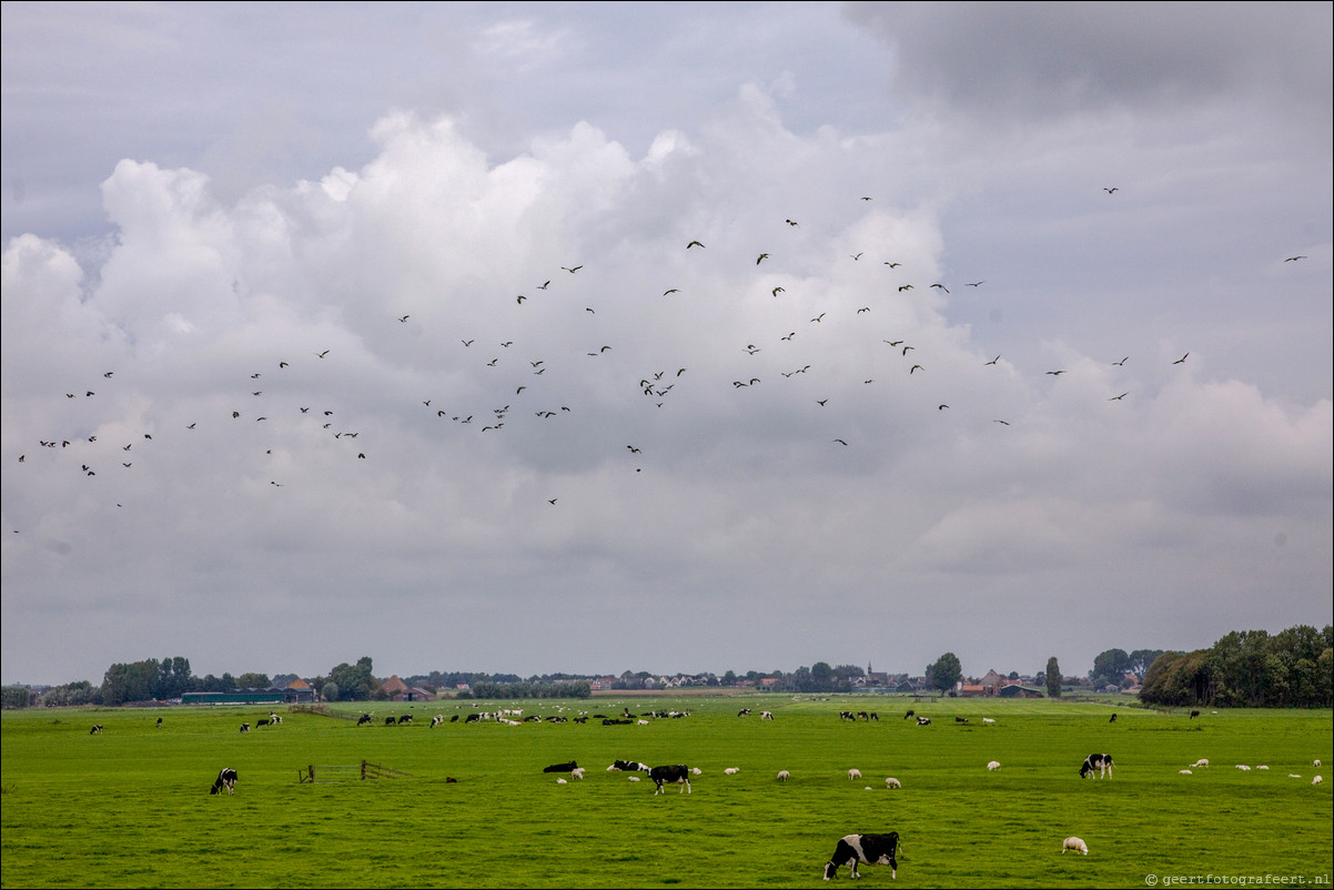 Wandeling Oostknollendam - Purmerend