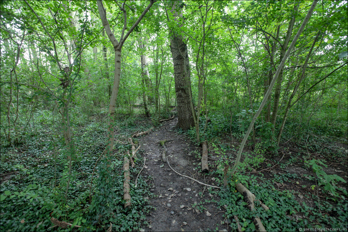 Wandeling Almere Haven 5-bossentocht