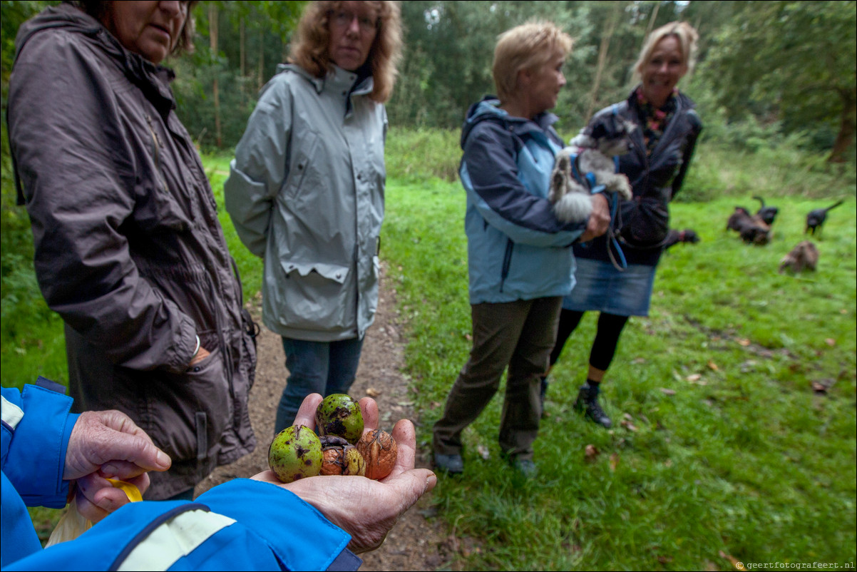 Wandeling Almere Haven 5-bossentocht