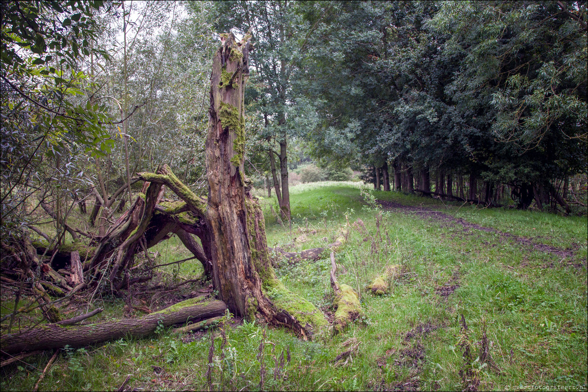 Wandeling Almere Haven 5-bossentocht