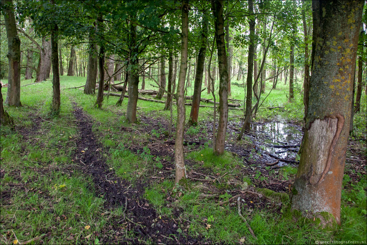 Wandeling Almere Haven 5-bossentocht