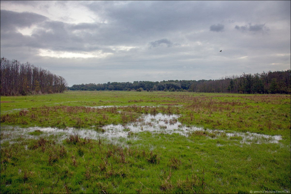 Wandeling Almere Haven 5-bossentocht