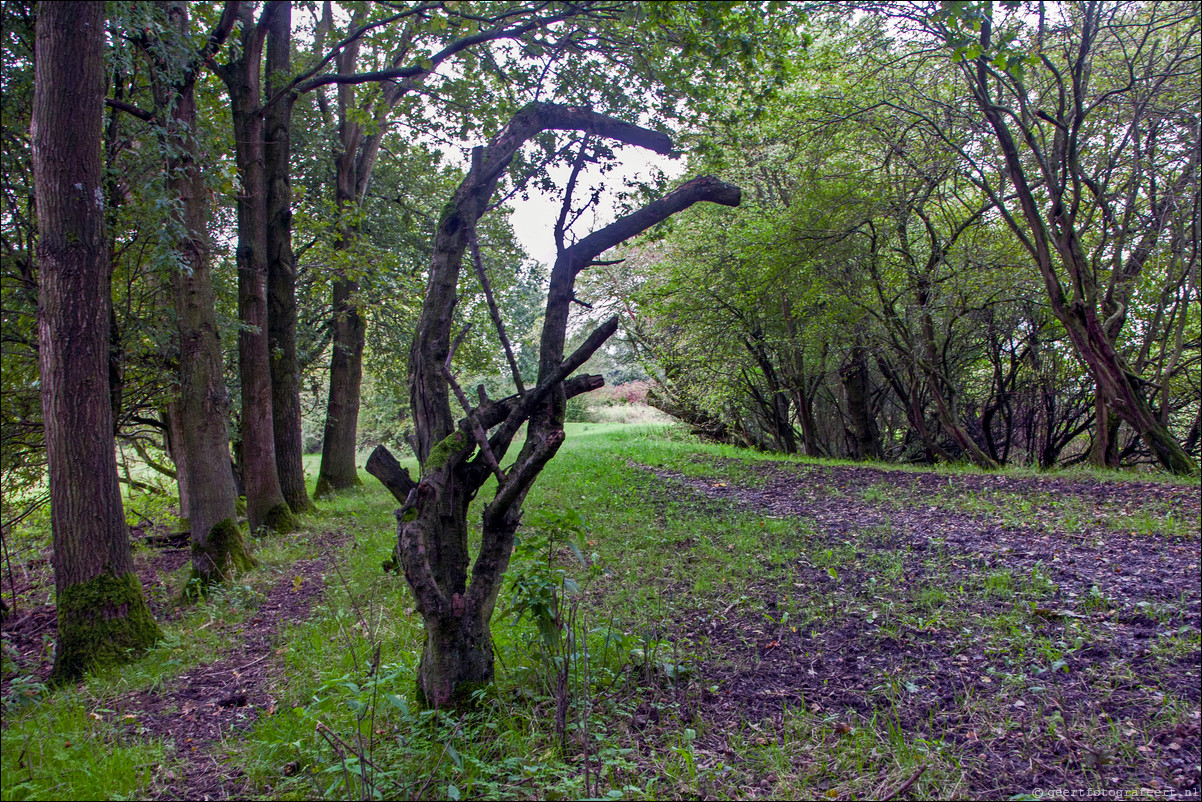 Wandeling Almere Haven 5-bossentocht