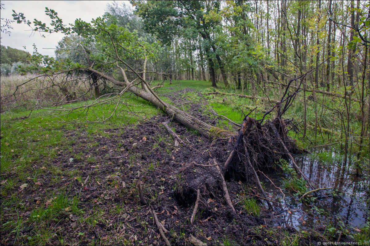 Wandeling Almere Haven 5-bossentocht