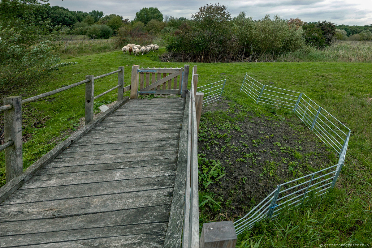 Wandeling Almere Haven 5-bossentocht