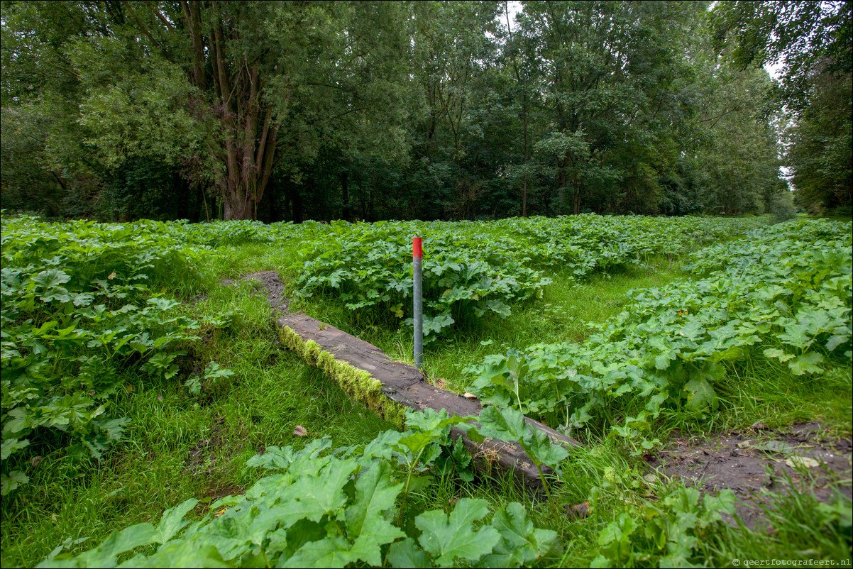 Wandeling Almere Haven 5-bossentocht