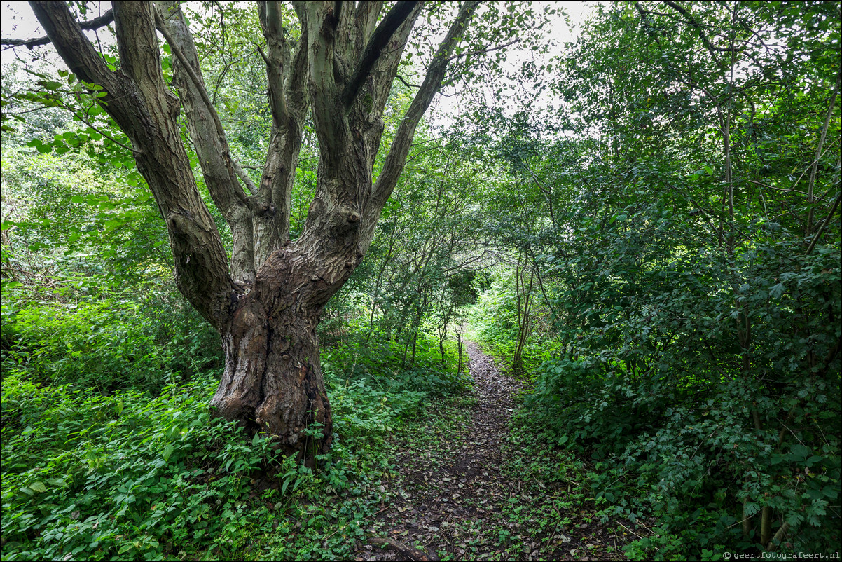 Wandeling Almere Haven 5-bossentocht