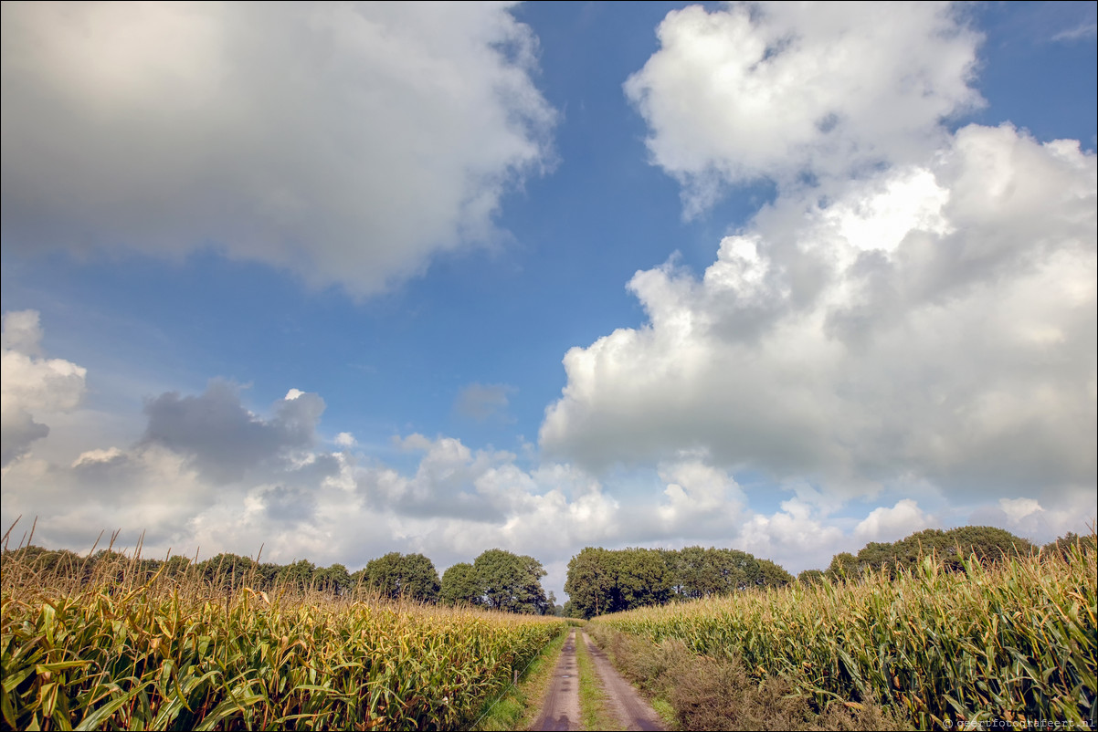 Wandeling Lunteren - Wekeromsezand