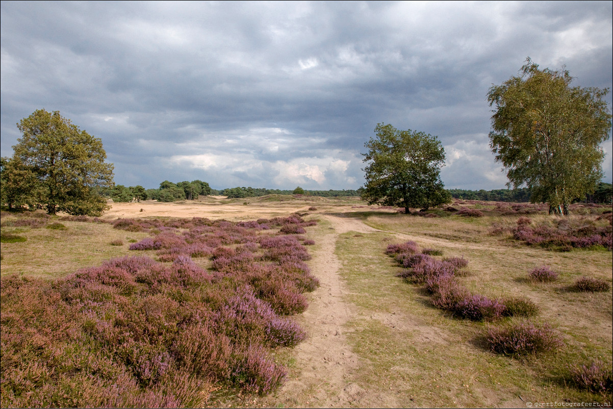 Wandeling Lunteren - Wekeromsezand