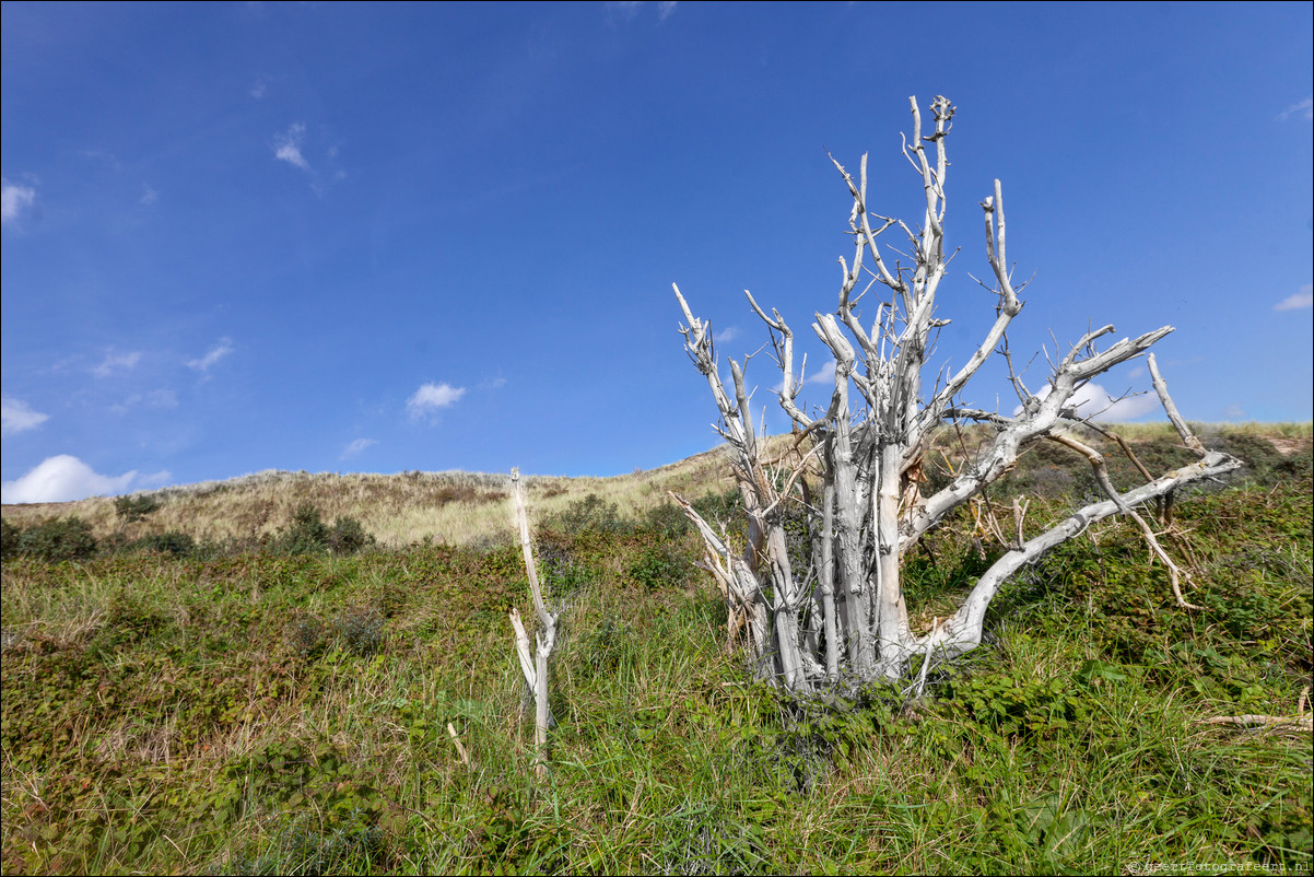 Wandeling Heiloo - Egmond