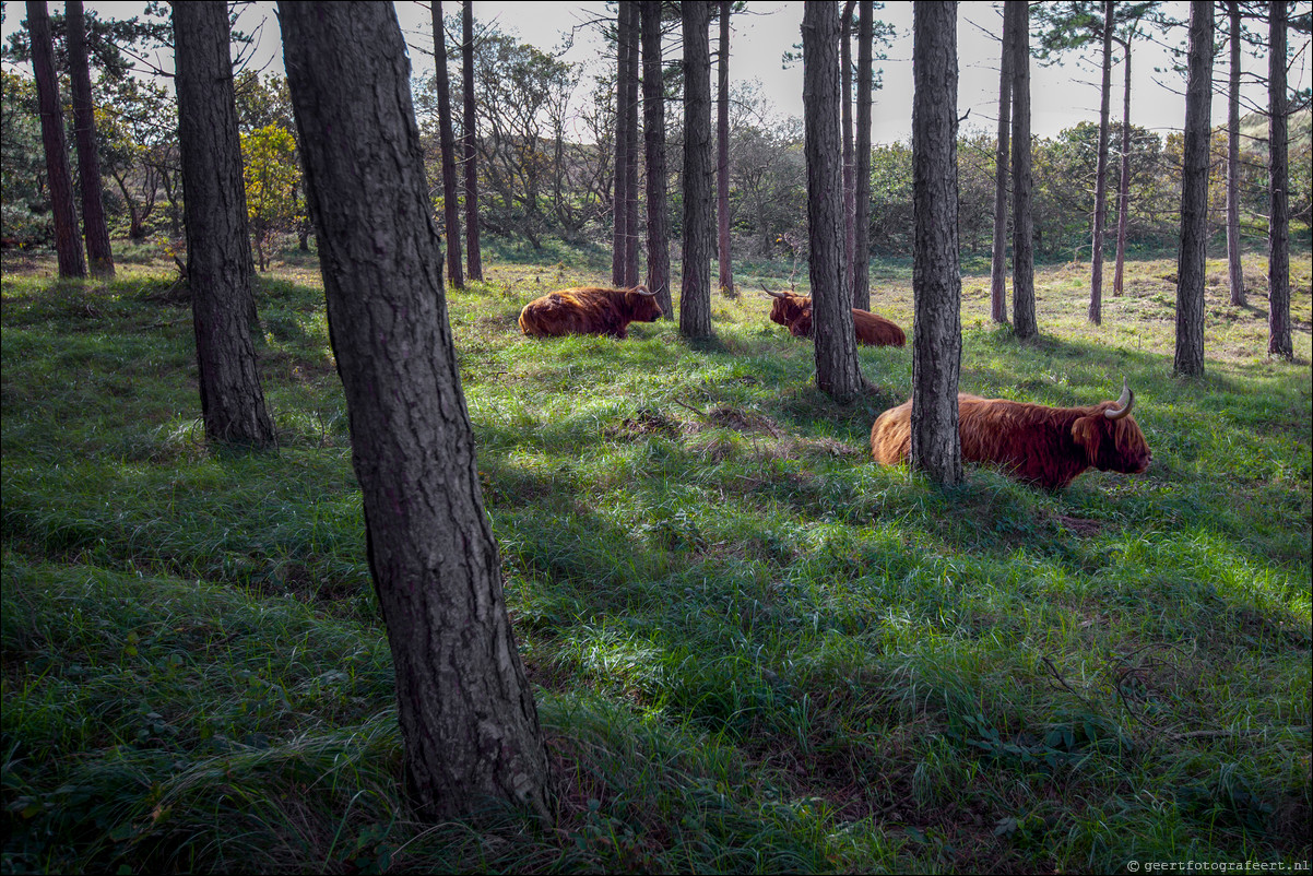 Wandeling Heiloo - Egmond