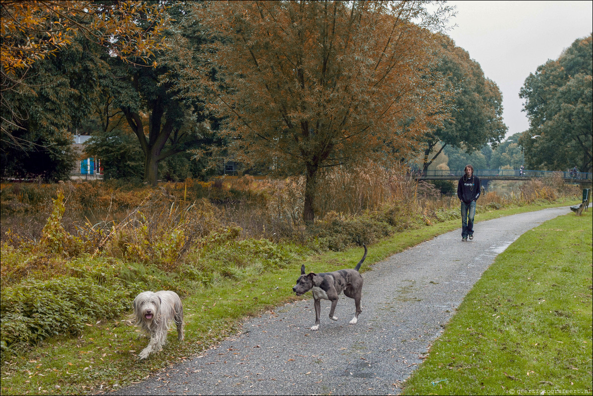 Wandeling Utrecht - Bunnik