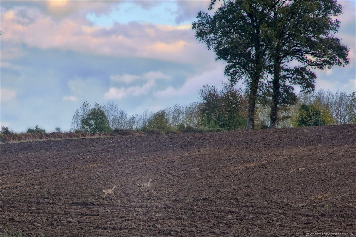 Wandeling Boussac - Chtelus-Malvaleix