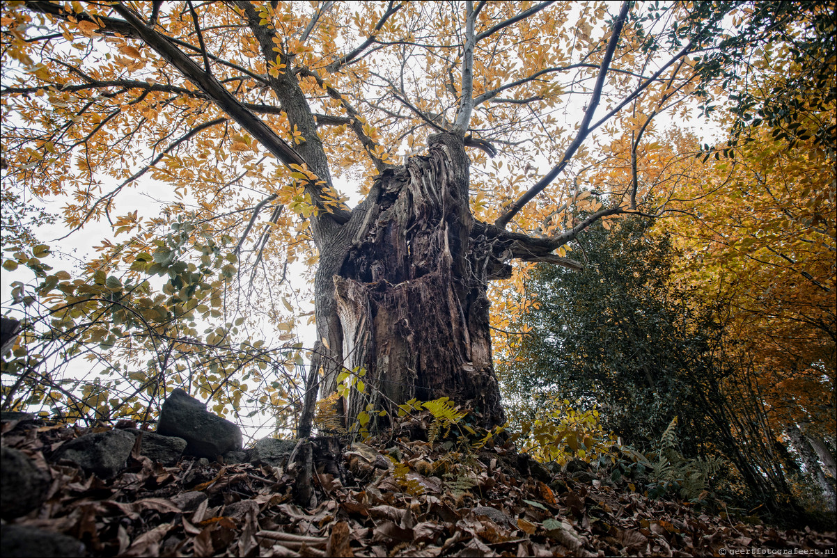 Wandeling Boussac - Chtelus-Malvaleix