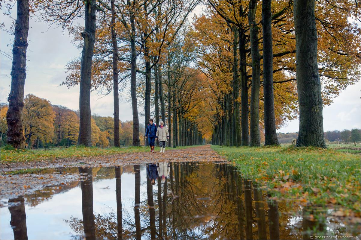 Wandeling Gooise Lusthoven