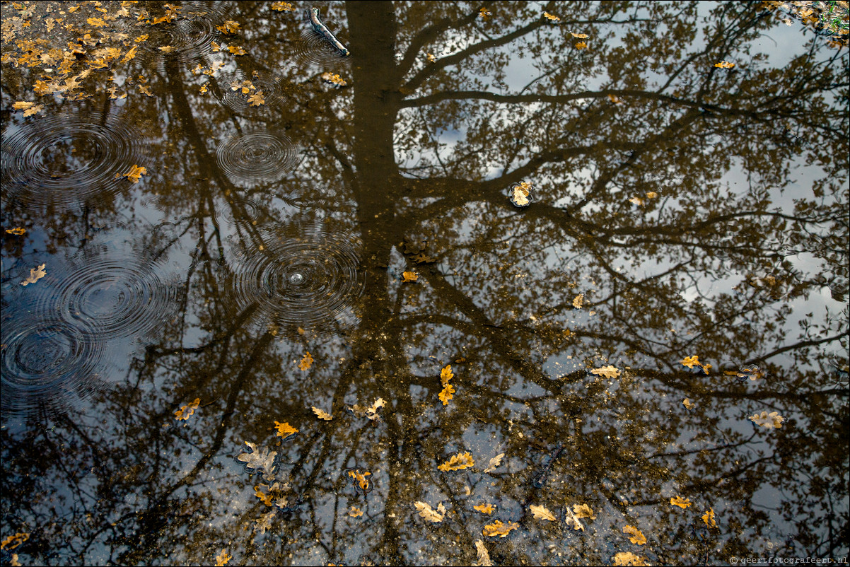 Wandeling Gooise Lusthoven