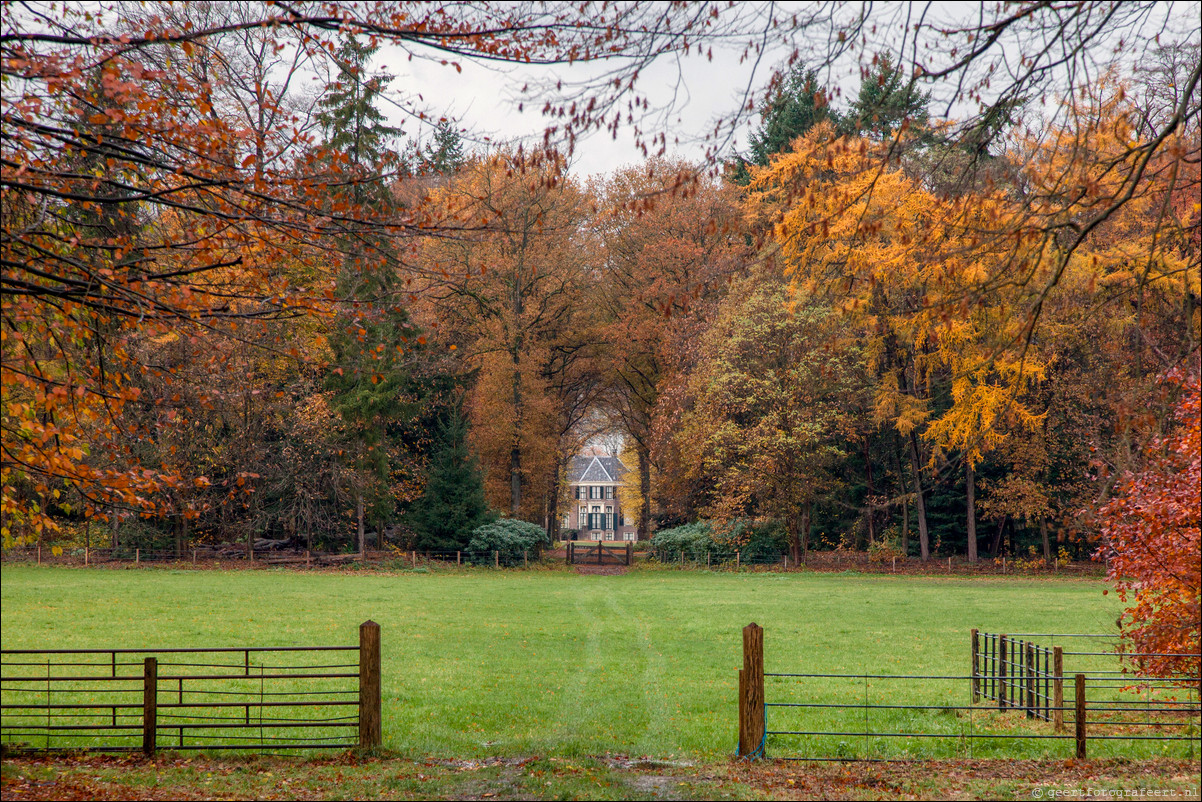 Wandeling Gooise Lusthoven