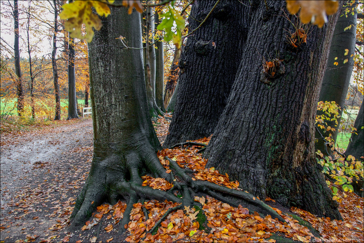 Wandeling Gooise Lusthoven