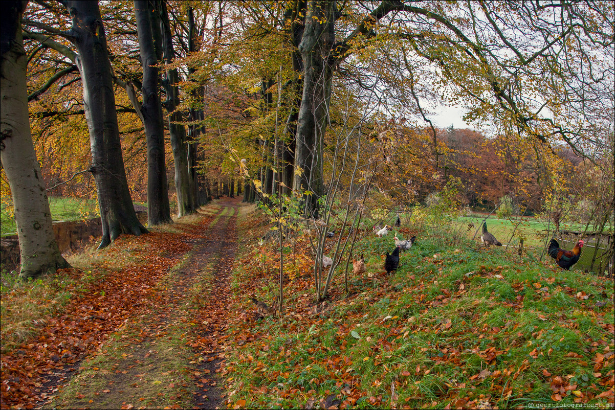 Wandeling Gooise Lusthoven