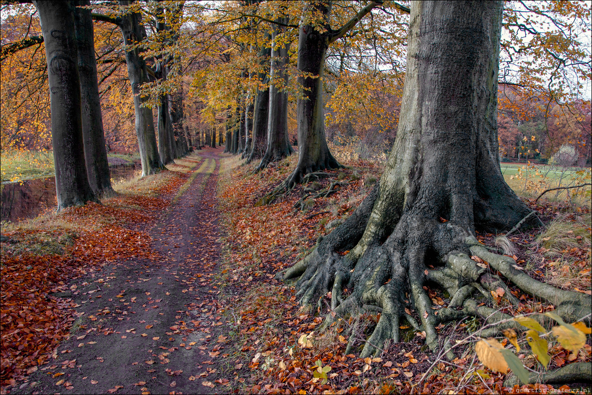 Wandeling Gooise Lusthoven