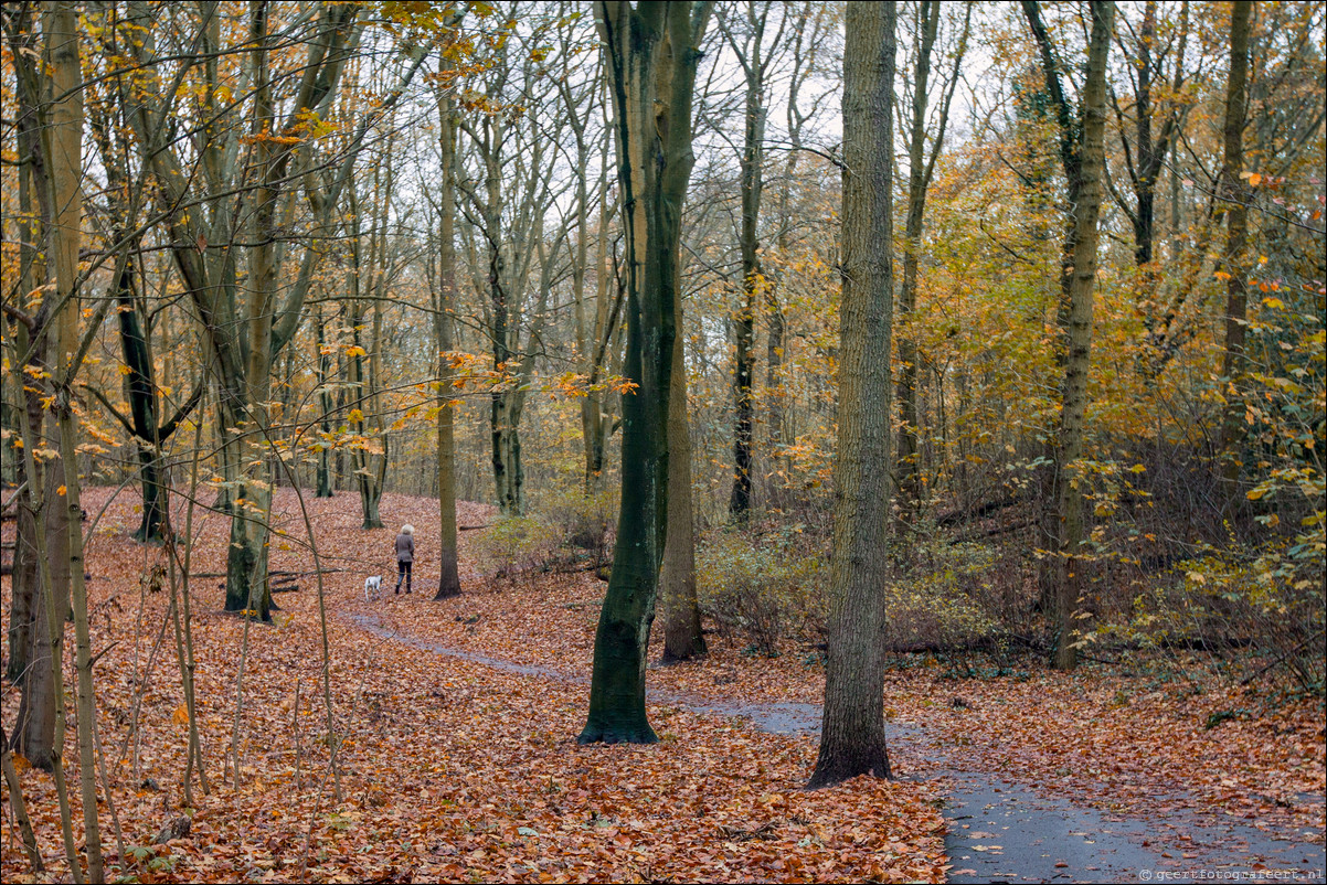 Wandeling Den Haag