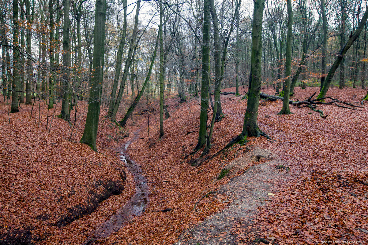 Wandeling Arnhem 