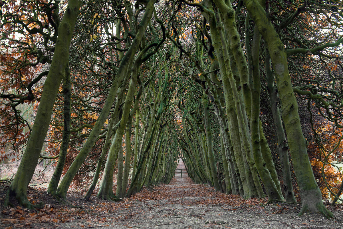 Wandeling Arnhem 