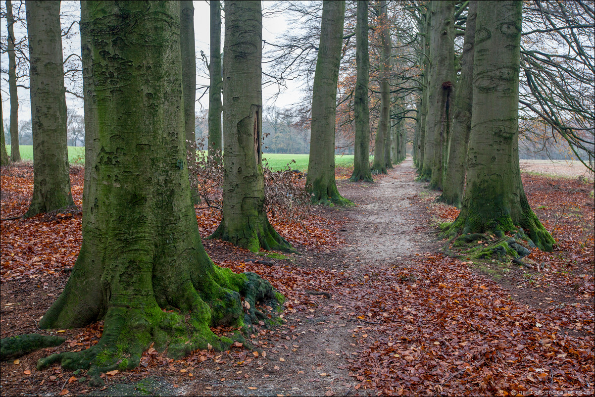 Wandeling Arnhem 