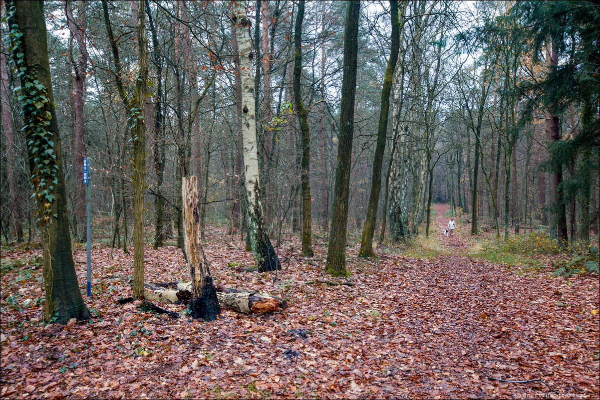 Wandeling Arnhem 