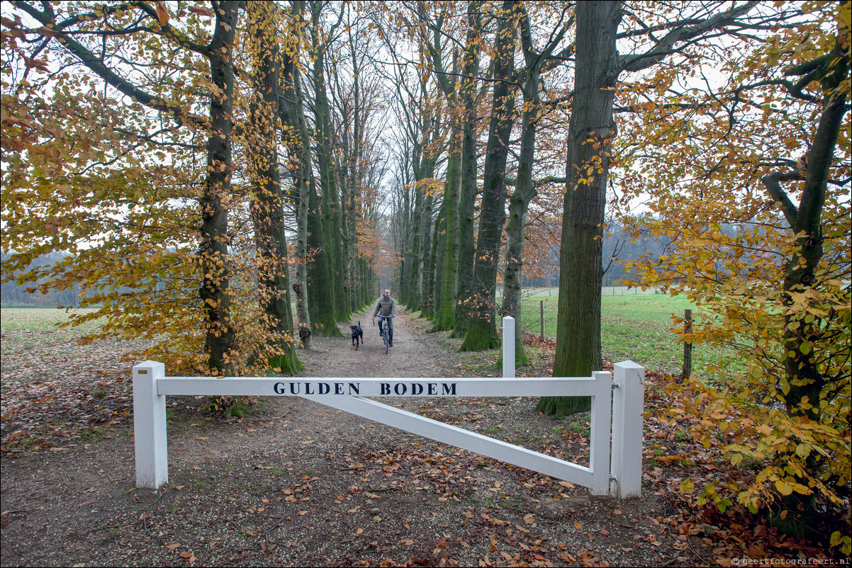 Wandeling Arnhem 