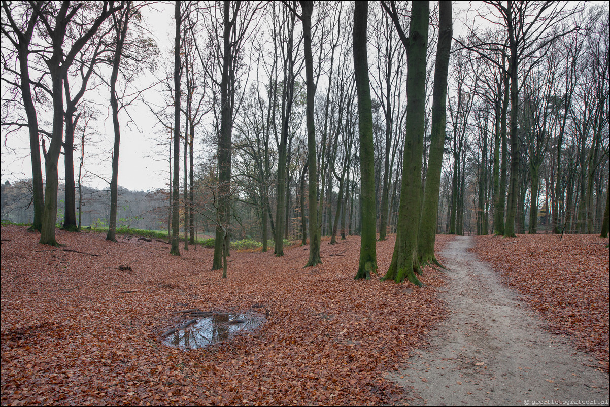 Wandeling Arnhem 