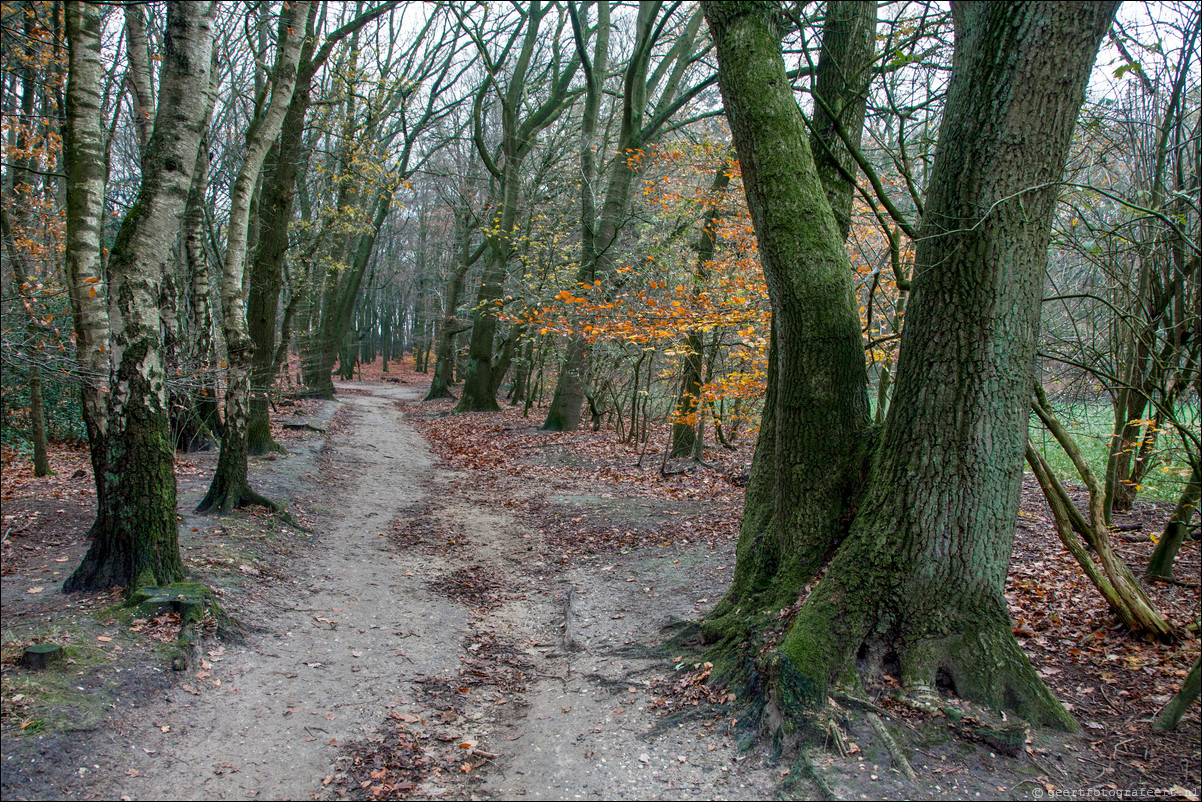 Wandeling Arnhem 