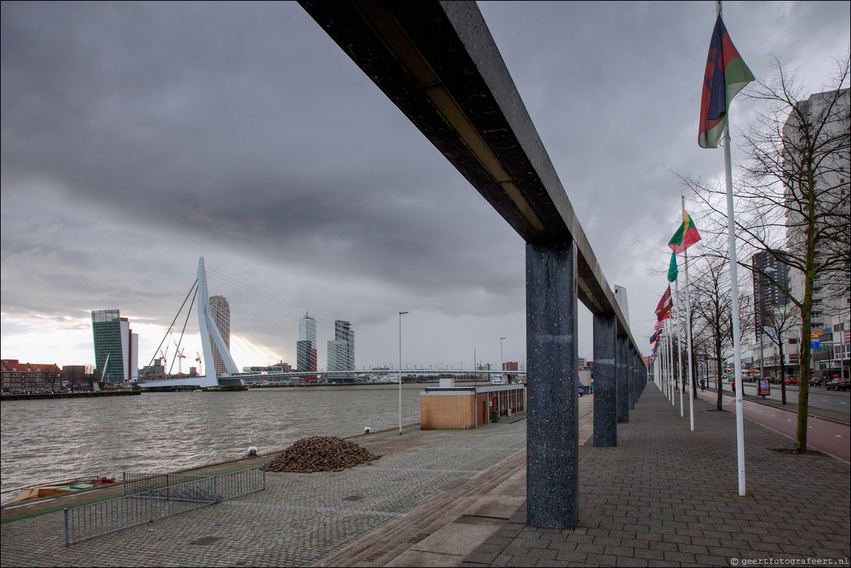 Wandeling Rotterdam 