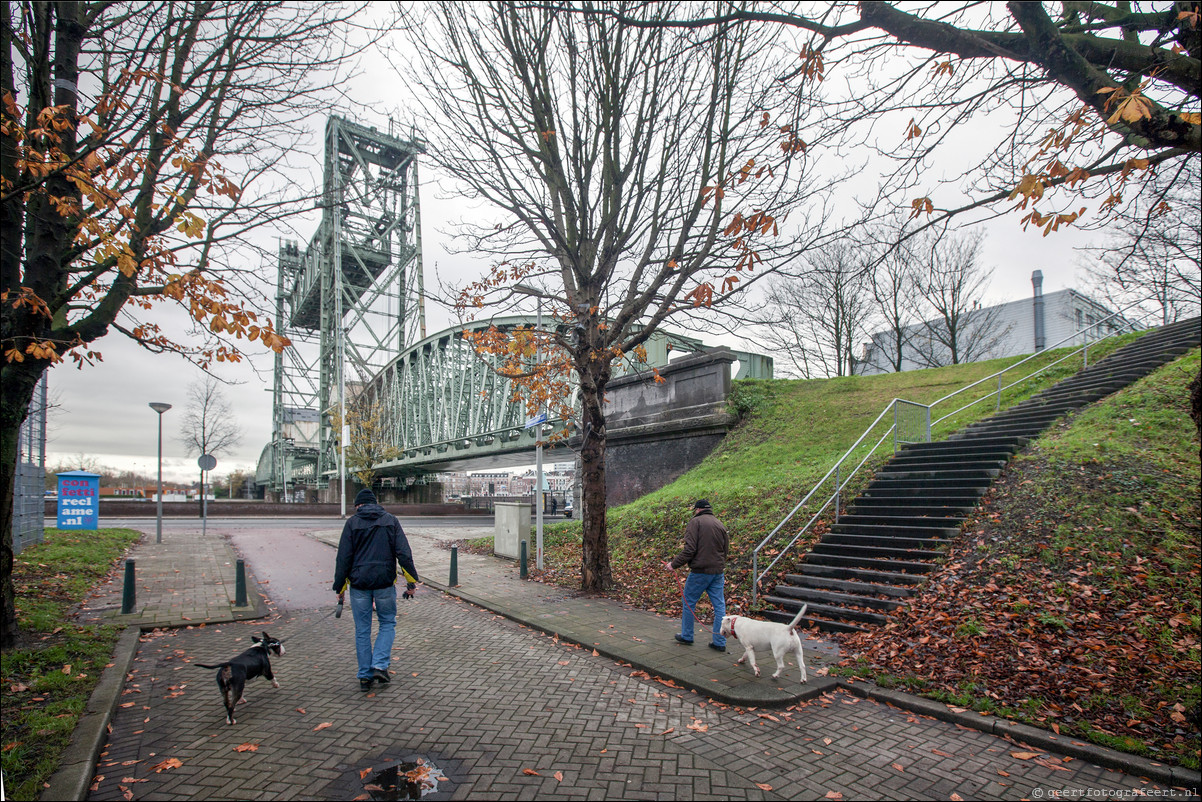 Wandeling Rotterdam 