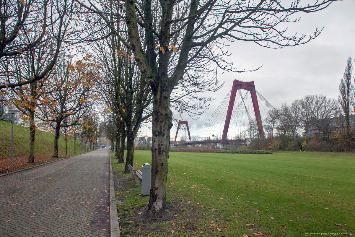 Wandeling Rotterdam 