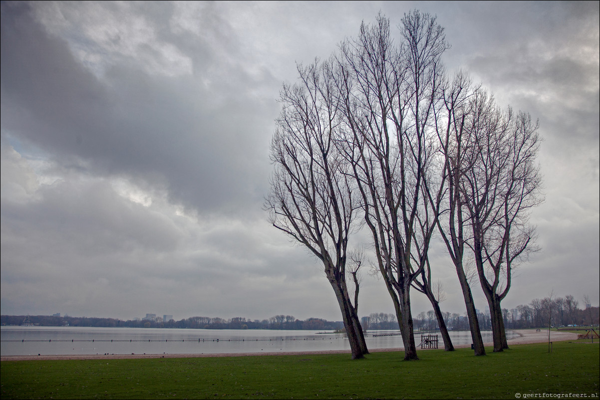 Wandeling Rotterdam 