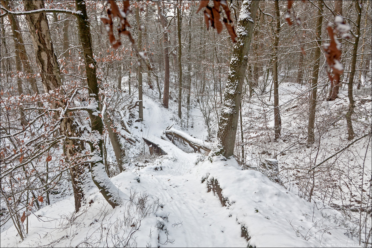 Wandeling Wolfheze Oosterbeek