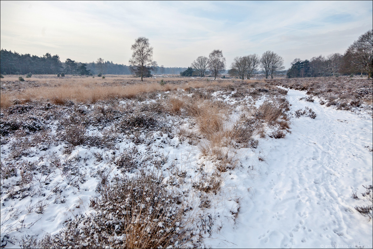 Wandeling Wolfheze Oosterbeek