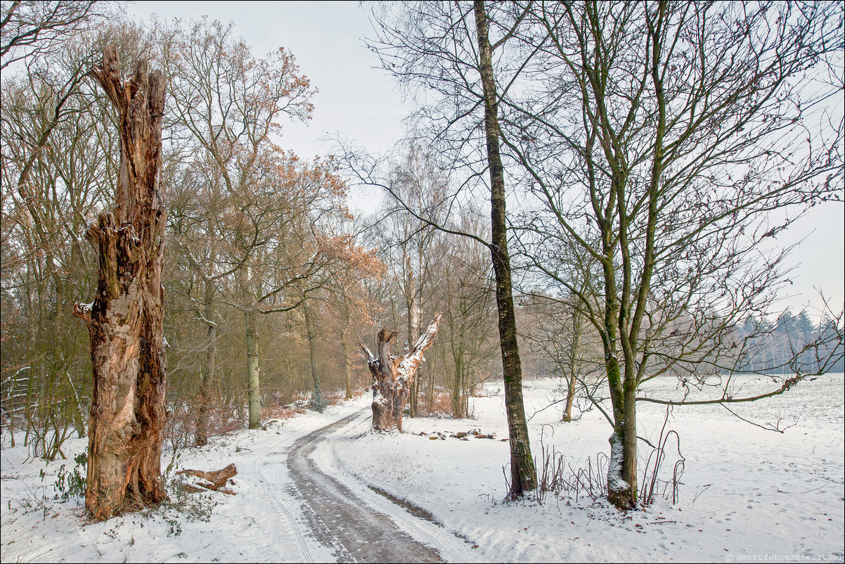 Wandeling Wolfheze Oosterbeek