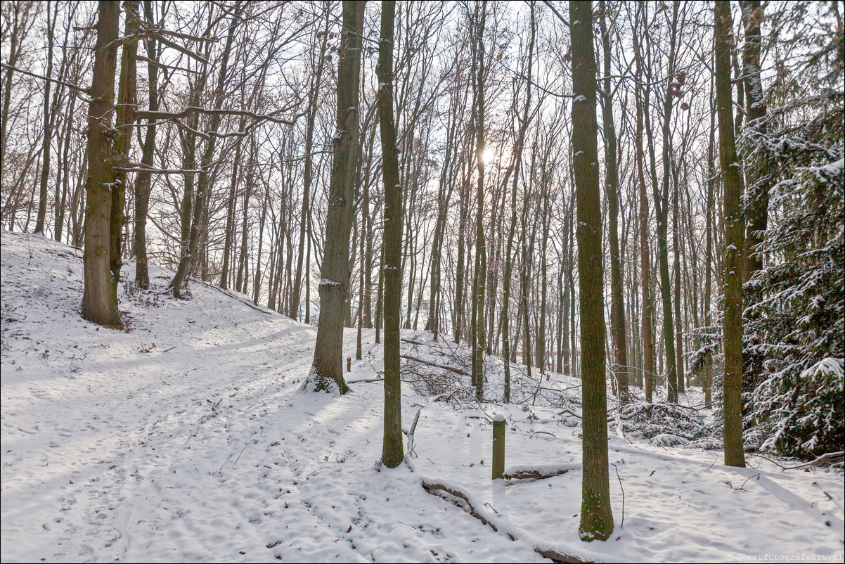 Wandeling Wolfheze Oosterbeek