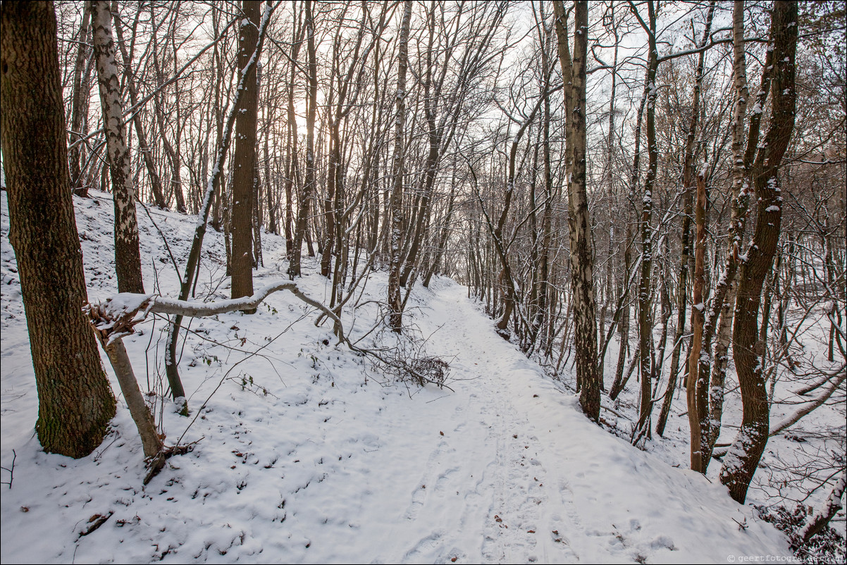 Wandeling Wolfheze Oosterbeek