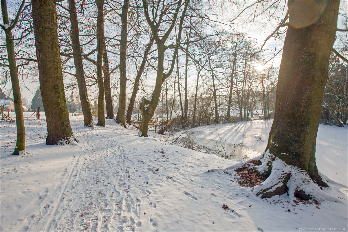 Wandeling Wolfheze Oosterbeek