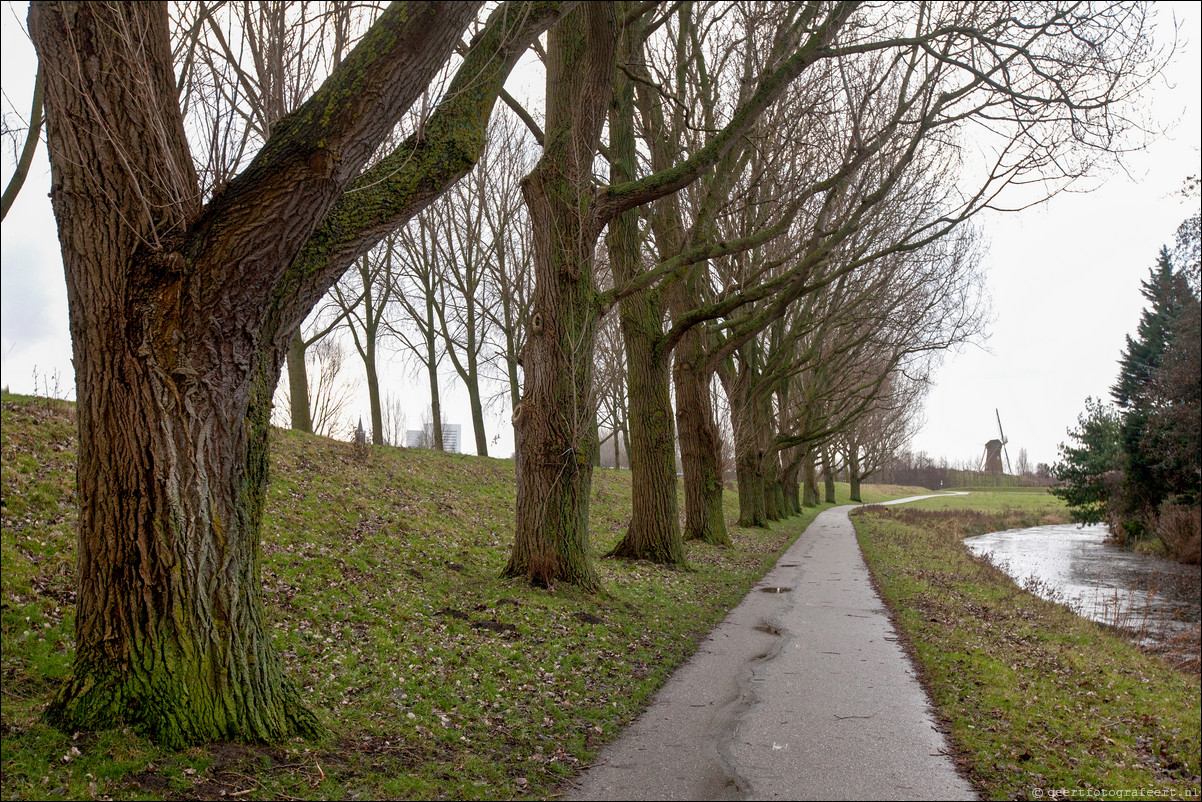 Wandeling Hoofddorp Haarlem