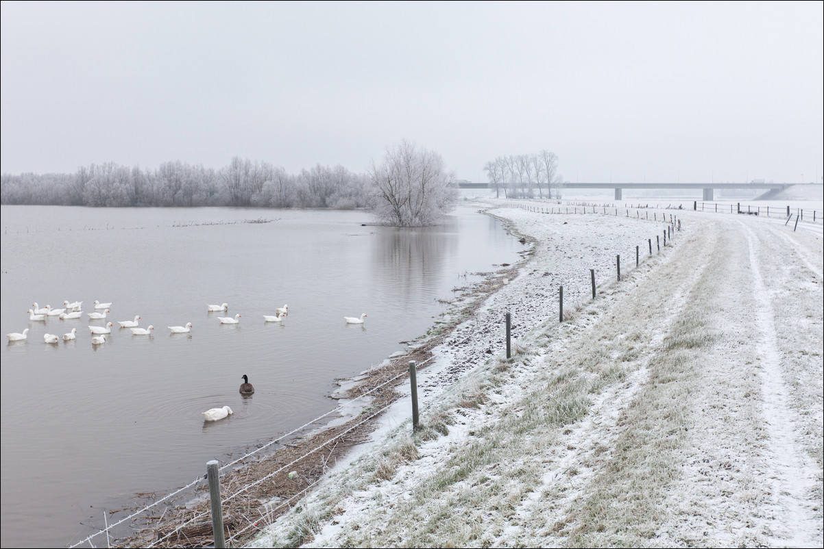 Wandeling Deventer Zutphen