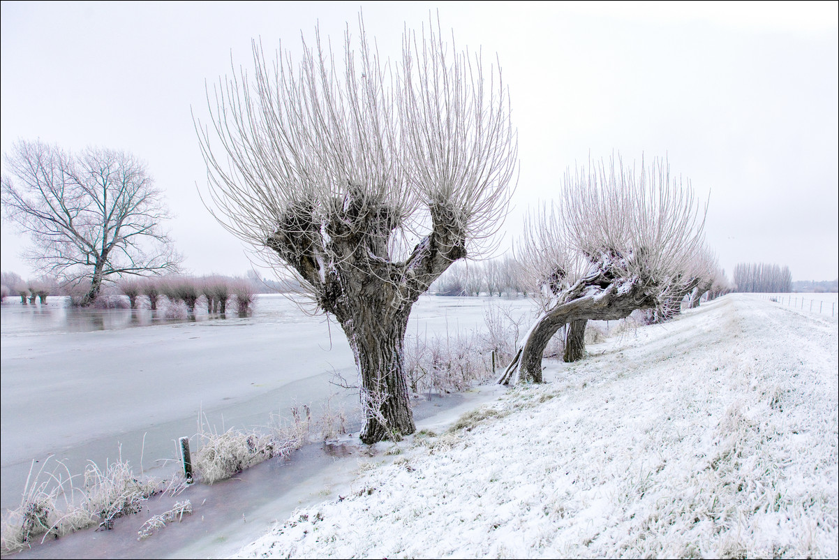 Wandeling Deventer Zutphen