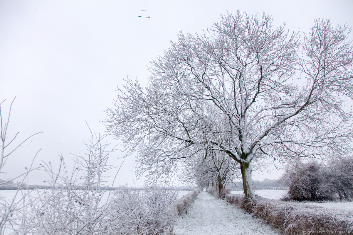 Wandeling Deventer Zutphen