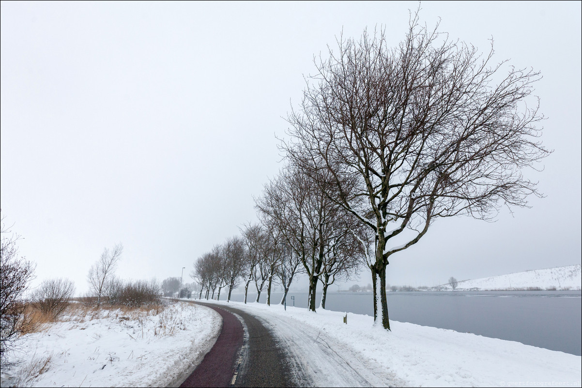 Wandeling Haarlem Amsterdam