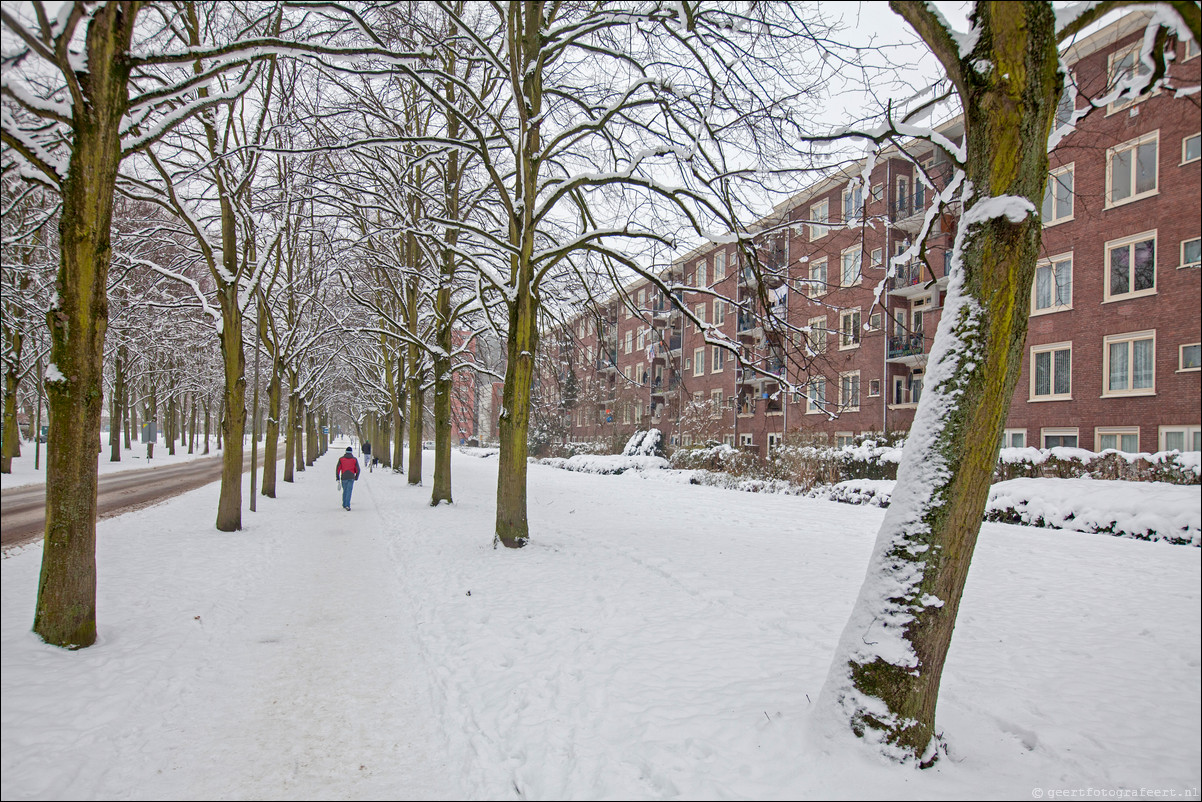 Wandeling Haarlem Amsterdam