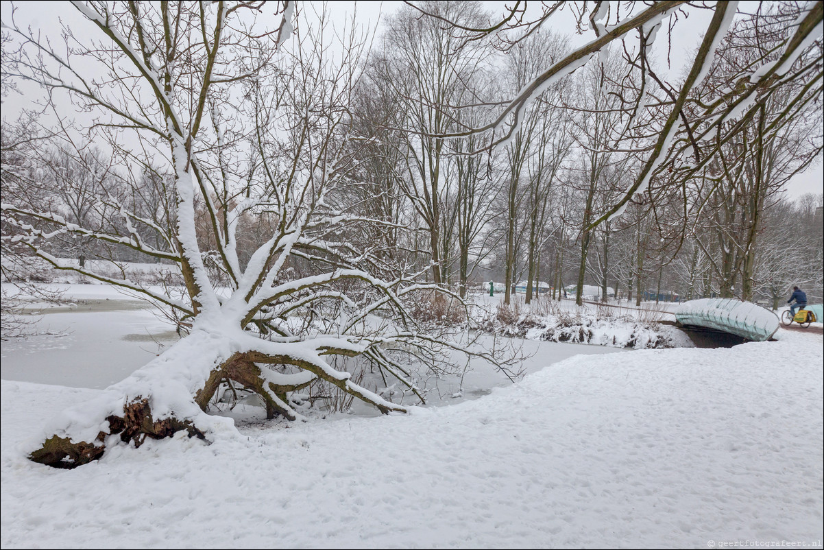 Wandeling Haarlem Amsterdam